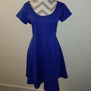 Rpyal Blue Skater Dress